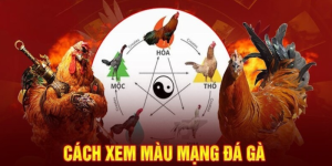 Màu Mạng Đá Gà